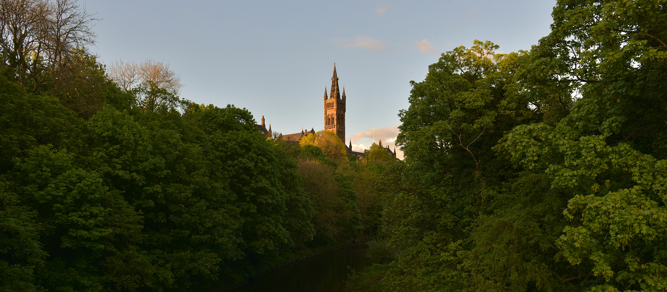 Modernising Web Entry Requirements - University of Glasgow