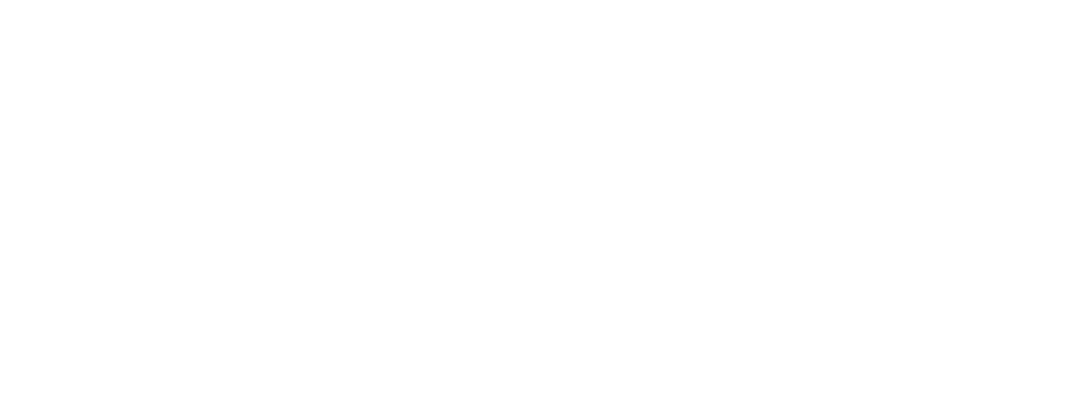 Behan Services